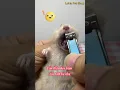Download Lagu Cách mài răng cho hamster nhanh nhất top 1 | LoHa Pet Shop #shorts