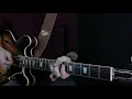 T-Bone Walker's Style | Strollin' with Bones  - Dario Marcello