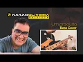 Lagu Um pro outro - Lulu Santos Bass Cover
