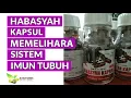 Jual HABBASYAH Habbatussauda Black Seed Isi 200 Kapsul di Jakarta Selatan 0821-2544-7761