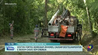 Ventos intensos derrubam árvores e deixam 24 mil unidades consumidoras sem luz em Joinville
