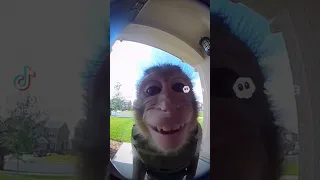 OKIE DOKIE