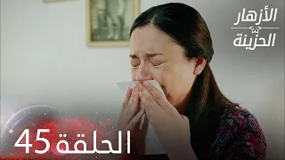 الأزهار الحزينة الحلقة 45 كاملة Kırgın Çiçekler 