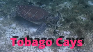 Episode 38   Sailing to Tobago Cays