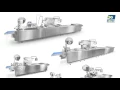 Lagu HILUTEC robotic packing line