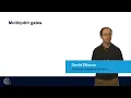 Multiqubit Gates