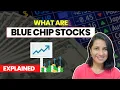 All about Blue chip stocks Easy explanation