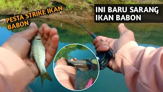 Download KALAU REJEKI TIDAK KEMANA.  Mancing Di Sungai Besar Nemu Sarang Ikan Nilem Dan Lele MP3