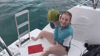 66 – Nature is Freaking Lit