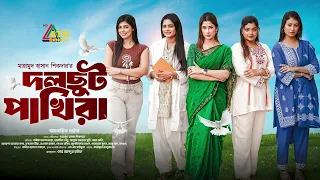 দলছুট পাখিরা