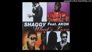 Download Shaggy Feat. Akon ‎- What's Love (Dreadknoxx Remix) MP3