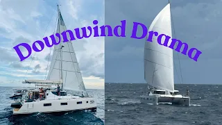 Grenada to Bonaire: Dolphins, Mahi & Midnight Chaos!