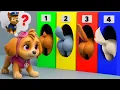 Lagu ¡La decisión de Skye! ¿Dónde está Chase? Por favor, vuelve conmigo - PAw PAtrol en Español | Rainbow