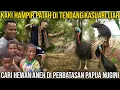 KAKI HAMPIR PATAH DI TENDANG KASUARI LIAR. CARI HEWAN ANEH DI PERBATASAN PAPUA NUGINI #AudreyA