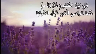 سلوا قلبي غداة سلا وثابا  سلوا قلبي غداة سلا وثابا