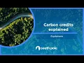 Carbon credits explained