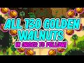 Find Every Golden Walnut on Ginger Island Stardew Valley