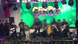 dalvin la melod a canta en vivo tema que grab con romeo santos y price royce en vivo cerro bar