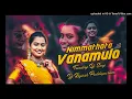Download Lagu Nimmathota Vanamulo New Folk Dj Song Remix By Dj Rajesh Peddapuram