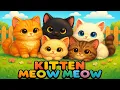 Download Lagu Kitten Meow Memeow Songs - Funny Baby Cats in Playground Ball Pool #CuteCats