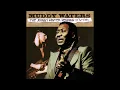 Who Do You Trust -  Muddy Waters - (HQ) -  The Johnny Winter  Sessions 1976-1981