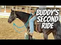 Download Lagu Starting Horses | Buddy's Second Ride