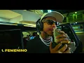 DONATY - FEMENINO (VISUALIZER) (NO ES DEMBOW EP)