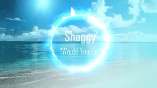 shaggy would you be ft brian thompson