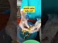 Download Lagu Jadi, Beginilah Pembuatan Tahu Brontak alias Tahu Isi