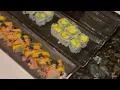 Cho Cho San Sushi Hibachi Creative Chefs Fresh Tasty Meals Offering the best tasting experience