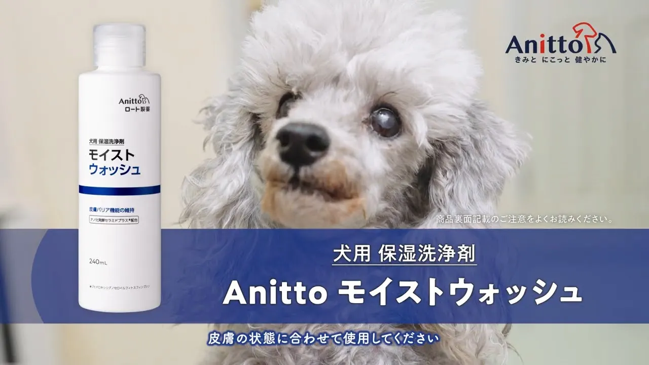 ペット商品使い方動画事例 / ウォッシュ