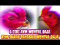 Download Lagu MENTAL BAJA DIARENA LAGA | 4YM B4GUS | Dunia Binatang