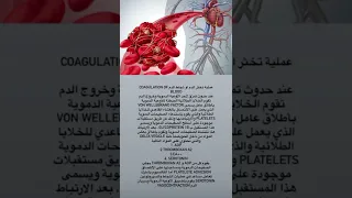 عملية تخثر الدم Blood Clotting Process تقنيه مختبرات طبية تحاليل طبية طب تمريض تخدير صحة 