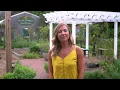Good Earth Market Ocean View DE - The Windrow Group