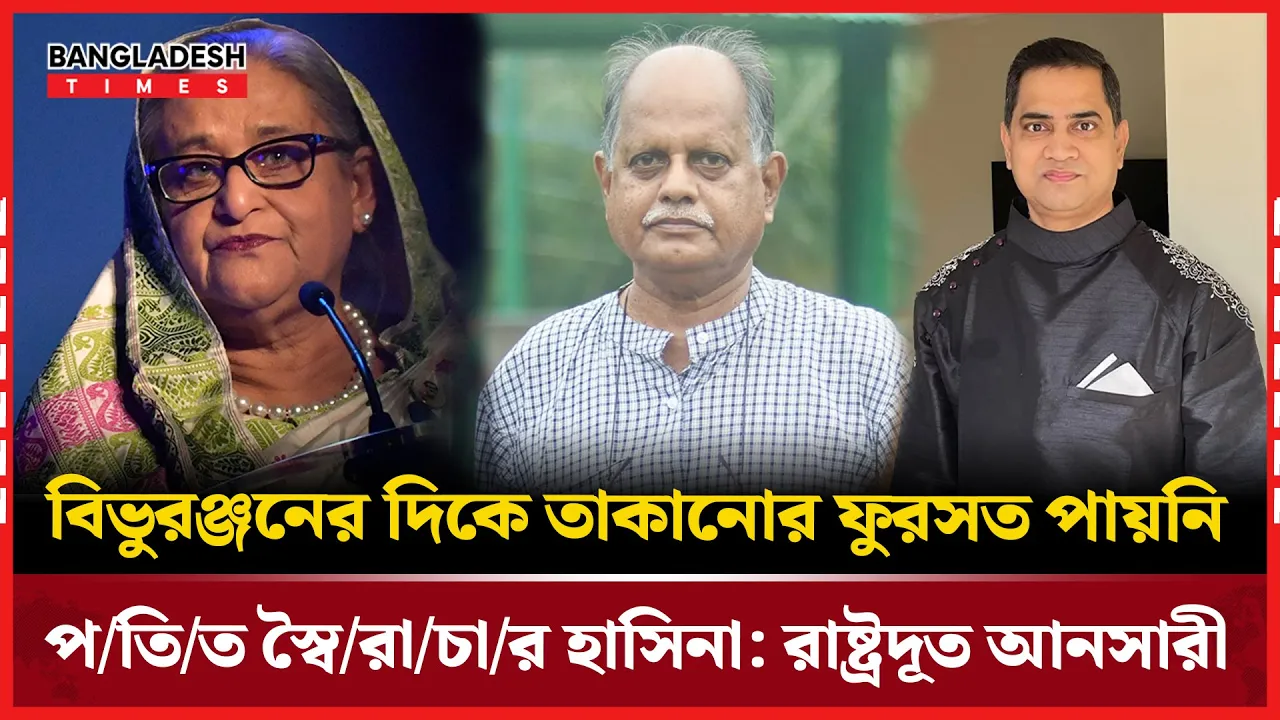 সাংবাদিক বিভুরঞ্জন সরকারকে নিয়ে দুঃখপ্রকাশ করলেন রাষ্ট্রদূত আনসারী