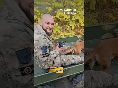 І машини повстали 😏