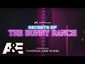 New Details Emerge About the Inner Workings of the Brothel in an All-New Secrets of the Bunny Ranch