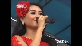 Download New Pallapa | Ani Arlita Mawar Di tangan Melati Dalam Pelukan MP3