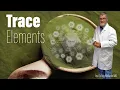 Trace Elements