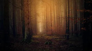 kanjeng sunan robbana ya robbana