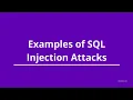 Examples of SQL Injection Attacks Lesson 2