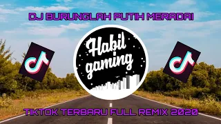 Download DJ BURUNG LAH PUTIH MEREDAI TIKTOK TERBARU 2021 MP3