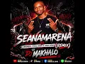 SEANAMARENA FT MAKHADZI, PRINCE BENZA & SHAPA MAMIE(REMIX) DJ MAKHALO 