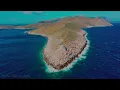Global Dance Mission Guest Mix feat EVAN VAS | Tiesto, James Hype, Valeron, Idd Aziz, The Weekend