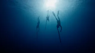 TRENTE (documentaire)