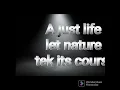 Shane O - Dark room lyric video