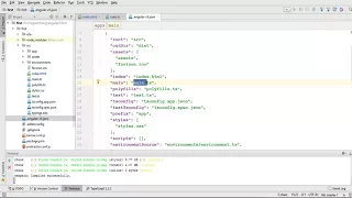 02 Angular 4 Tutorial Project Structure