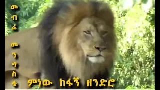 Mebrie Mengistie Minew Kefagn Zendro መብሬ መንግስቴ ነይ ነይ ሎምዬ Ethiopian Traditional Music 