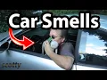How to Remove Car Smells in Your Car Odor Eliminator