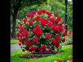 Download Lagu Demi Kau Dan Si Buah Hati_Harry Parintang 🌹